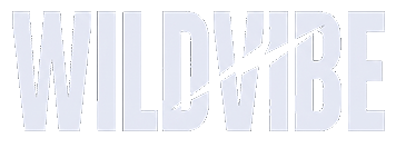 studio wildvibe logo (no background)